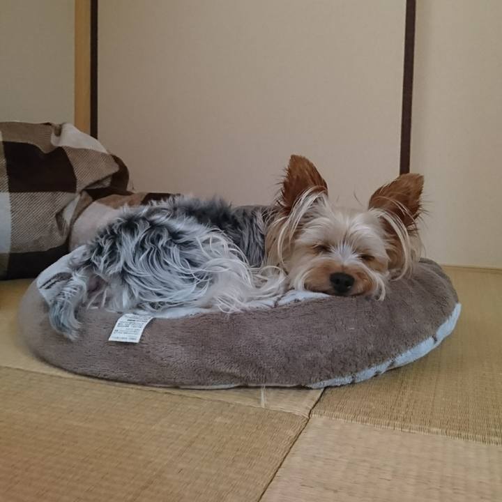 A37b5c36 e37b 4687 a50e 85ed6d1ca242 1531878658641