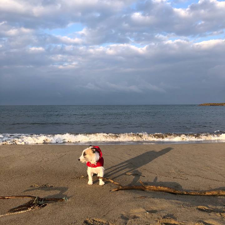 A37b6ab5 ca4a 44ae a8e2 2cfb9a4a6924 1607641160818