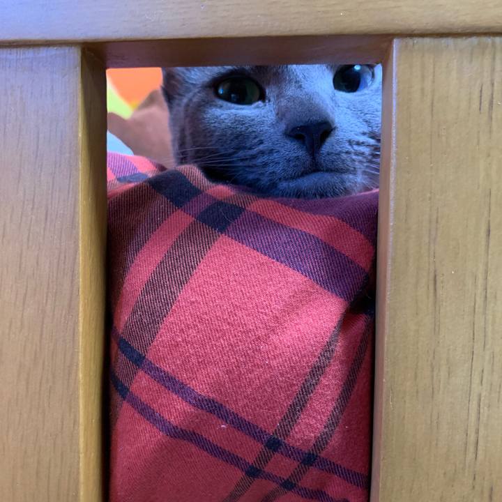 A37b6f9d 1591 4144 ac9f c39fd99a752e 1575871151146