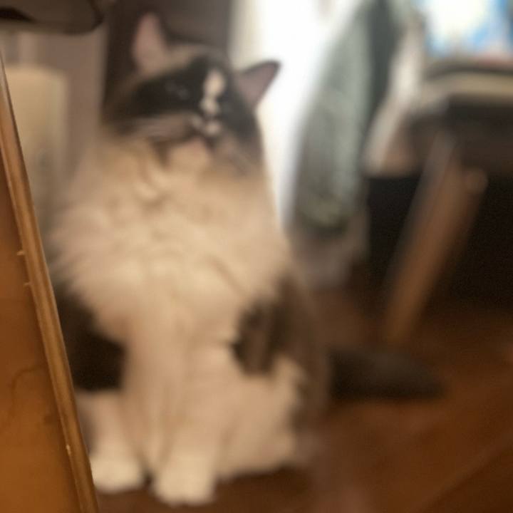 A37b9e44 b6eb 44e9 a873 04836b753491 1733726801140