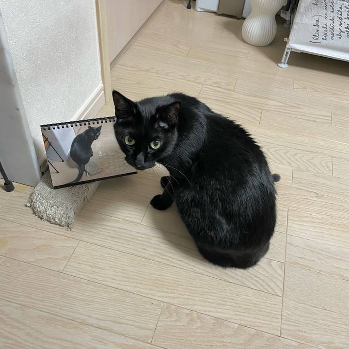 A37bc71e 0ad5 4244 b206 84ae67f4089b 1648044160662