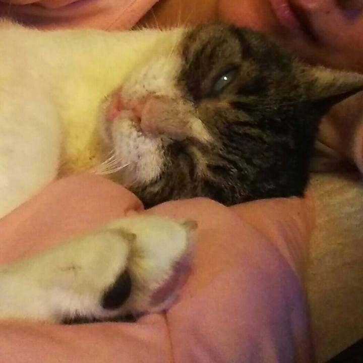 A37c2fe1 624a 42d9 8fb1 9e819e5b74e0 1566637240354