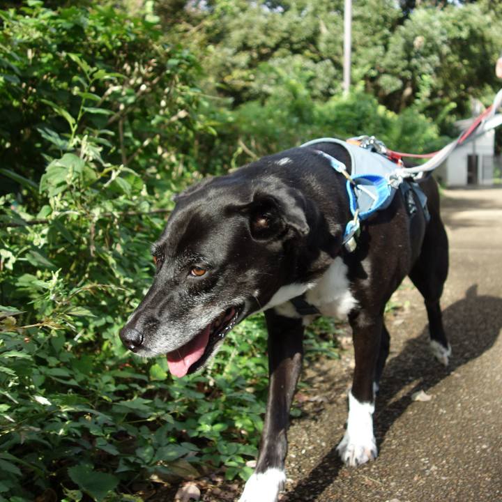 A37c326a 6fc9 47d8 9911 5b788fc419d9 1727309749802