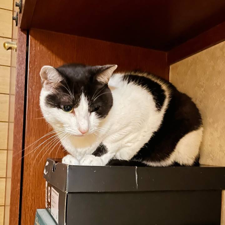 A37c4090 f951 4b32 ac5d 693e0a81dd49 1639535682783