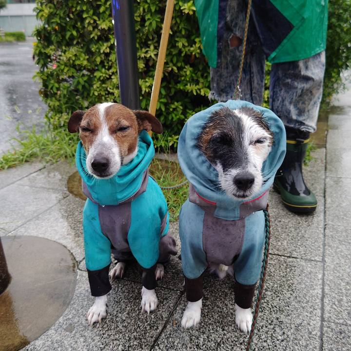 A37cc0e6 1b9c 4bf4 8c4c 7ecad2d1bb64 1725020042054