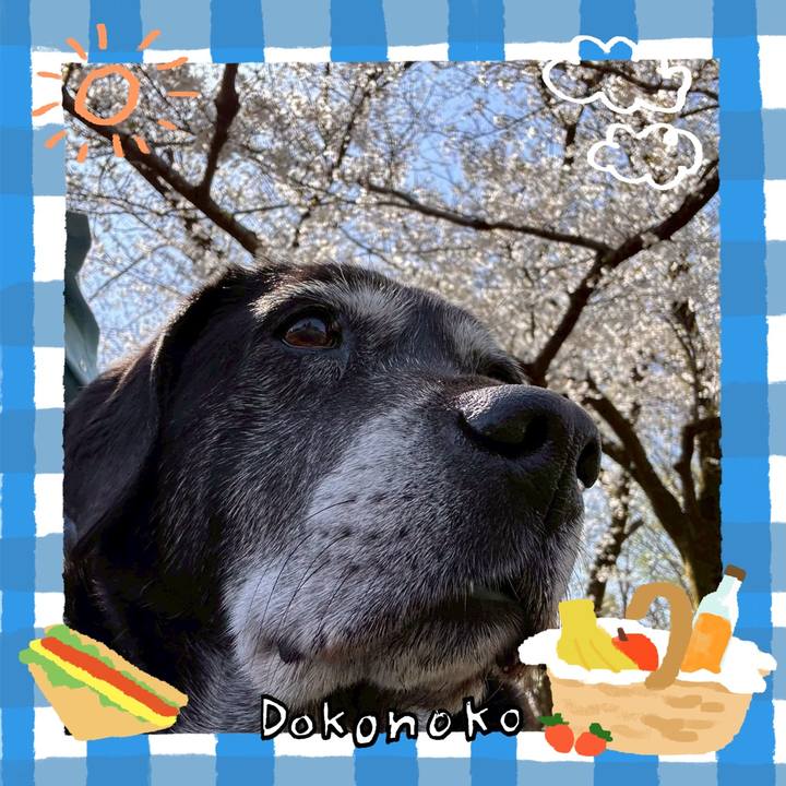 A37cc66f 3877 4a48 9ada 8086d6bb3af0 1744263063594