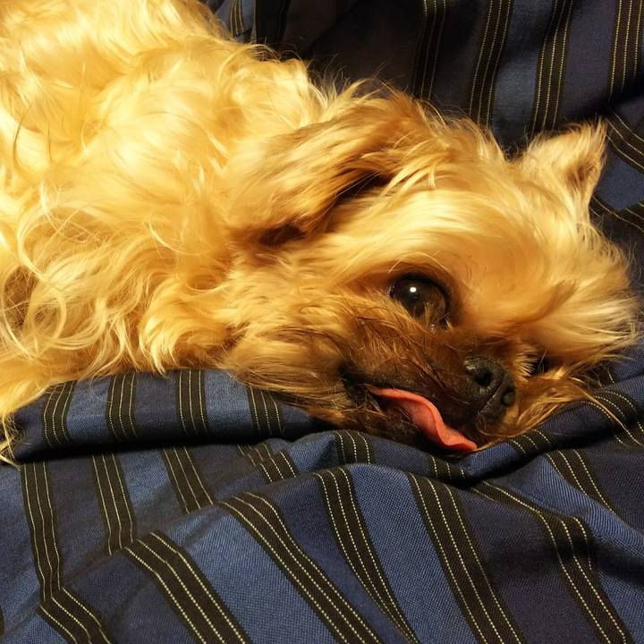 A37ccfbc 3a90 4fbf a6a9 54c6e5079f6c 1521249789164