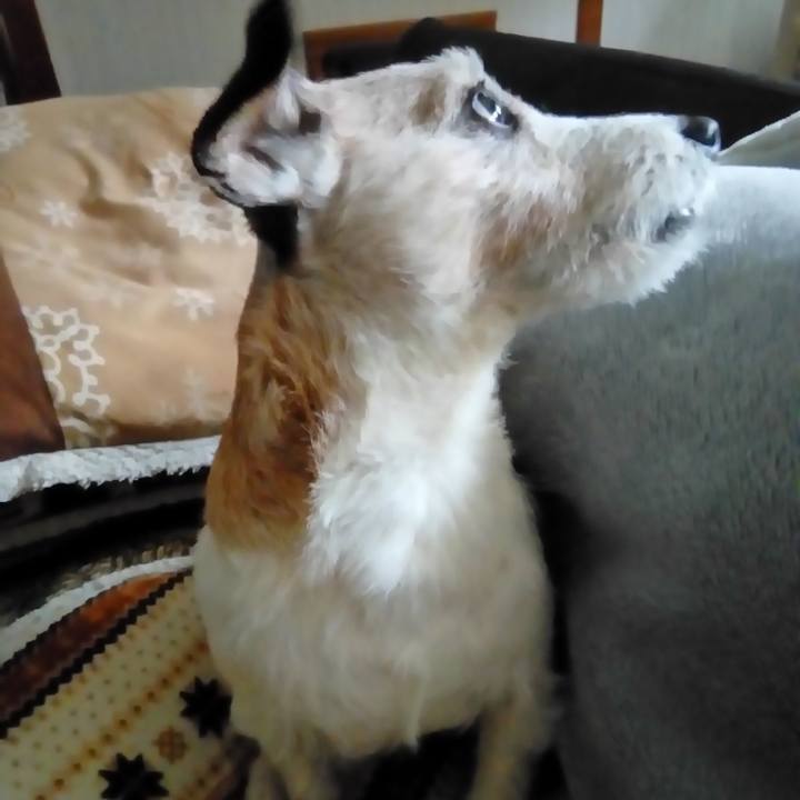 A37ce37f 923c 4cce 9c66 81ac6b1df354 1584964414605