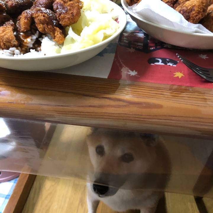 A37ce640 f526 41fb bb55 2495da54d214 1601120321930