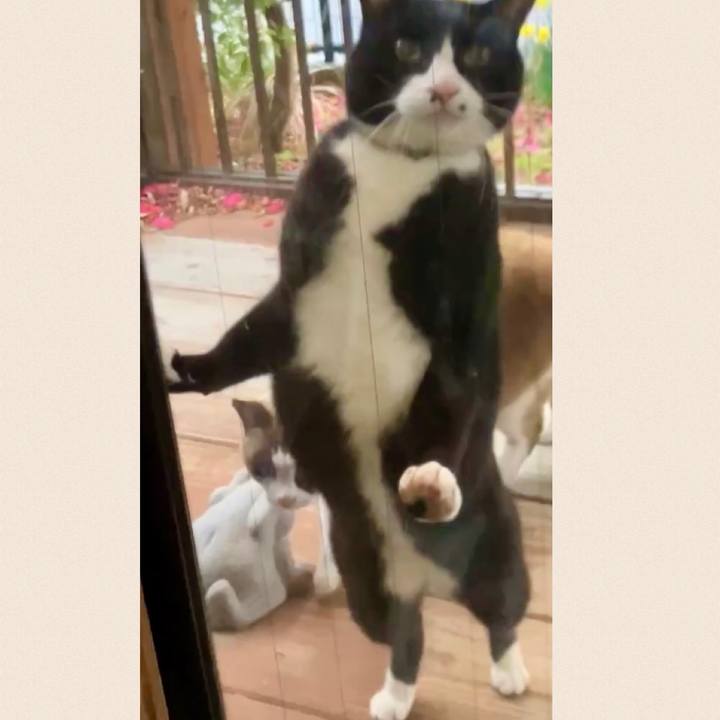 A37d0288 8ff4 4351 9529 414d97aa2f03 1741080978674