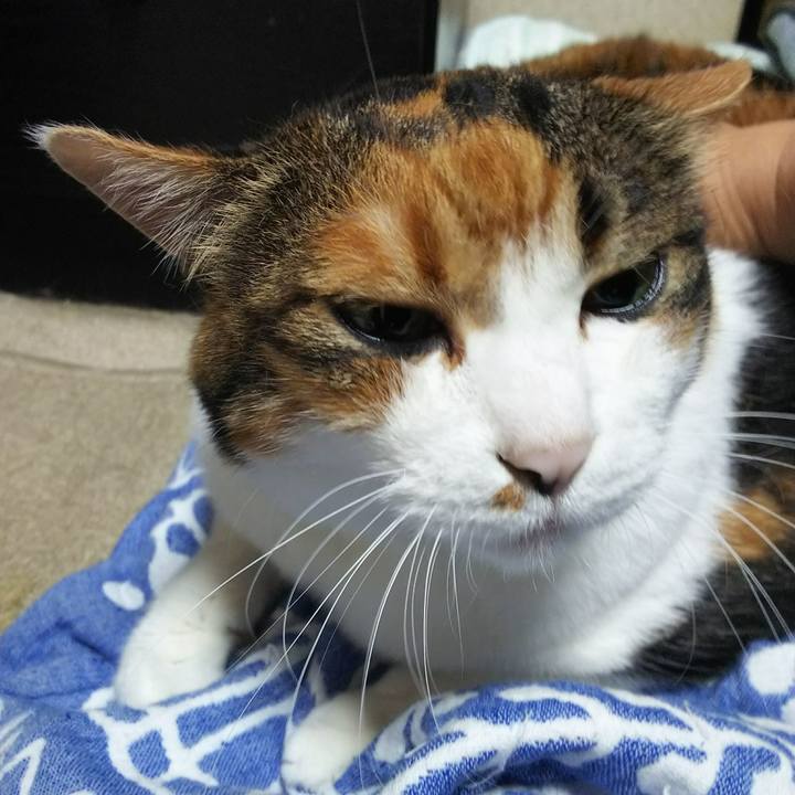 A37d50f0 5763 45ae 9fb0 672ba40c343c 1537431273738