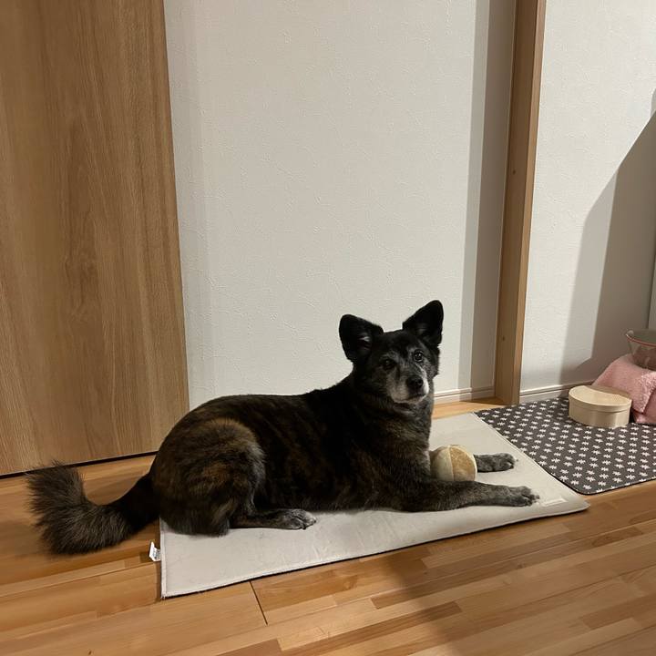 A37d5a4c b658 4000 b386 9c4b6a05c1b4 1720946043059