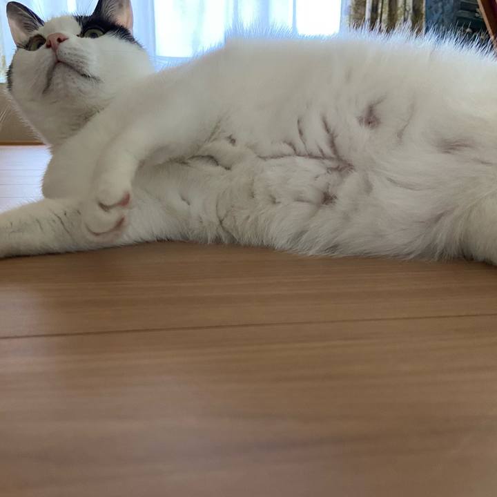 A37d69c6 b6da 4762 b90b 773d85262b64 1589447761357