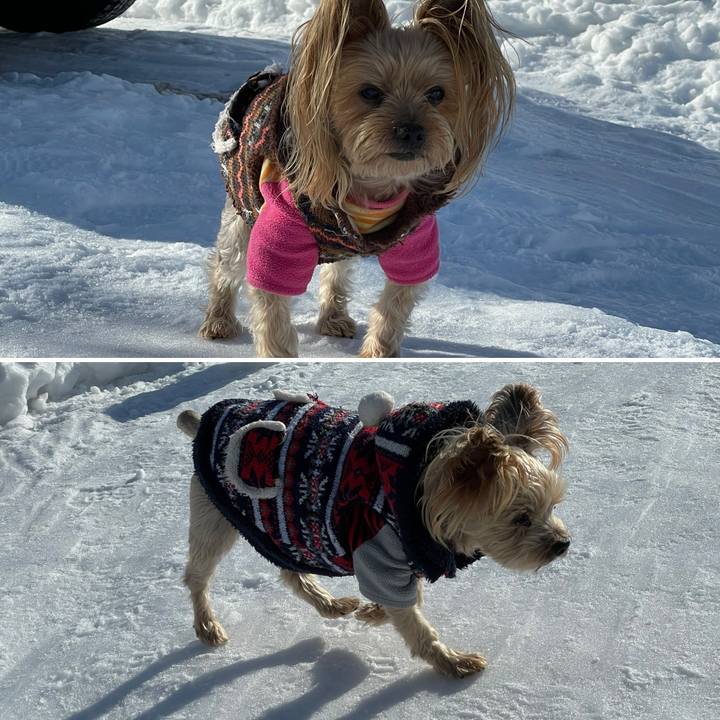 A37d7a47 b210 4d6f 868b 6e4741d626a8 1610875557853