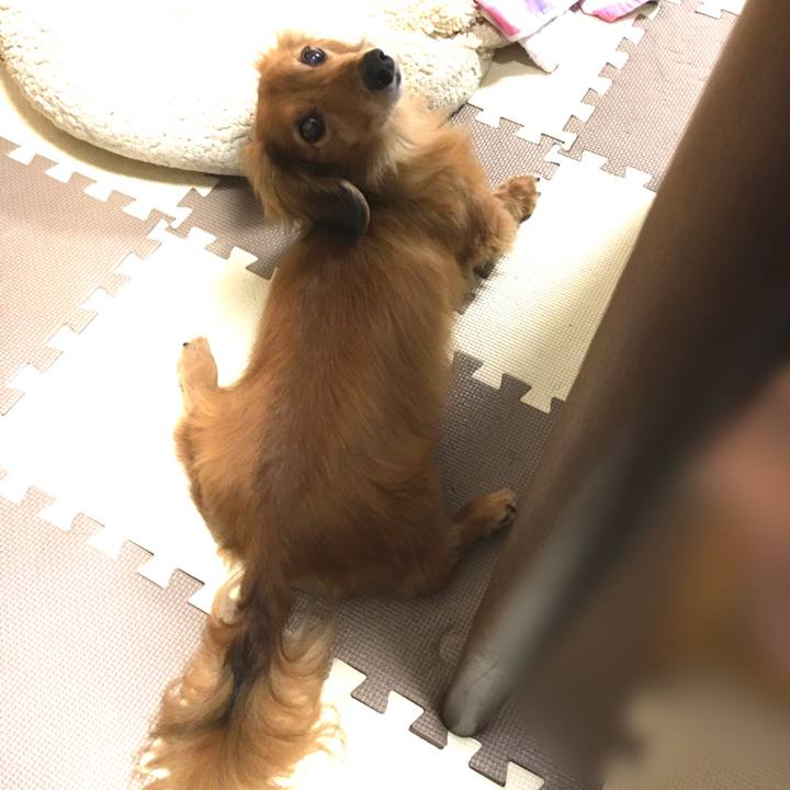 A37d7b85 9b2a 4d11 9e5b 806b29647c7b 1591189368483