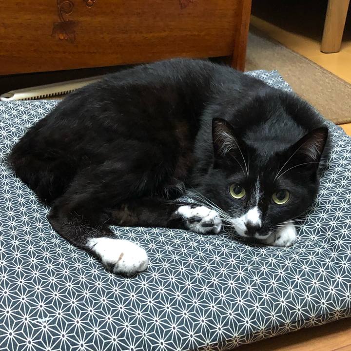 A37d89c9 b61c 480c aef3 02f9ee848b18 1562902798241