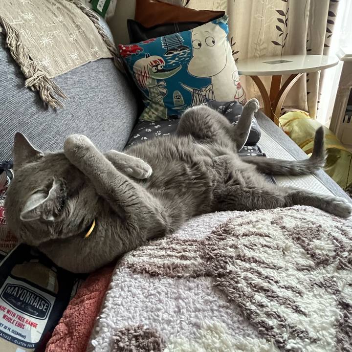 A37dae81 4343 4bc9 93fe 948288f00ba5 1699073314159