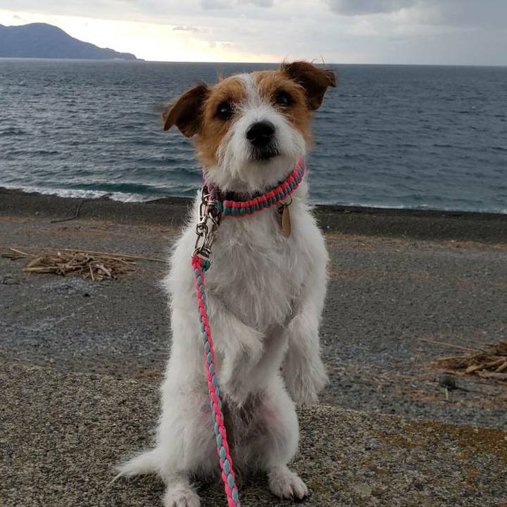 A37dbca6 d6c9 4624 ab39 0c8a74100e17 1573453148002