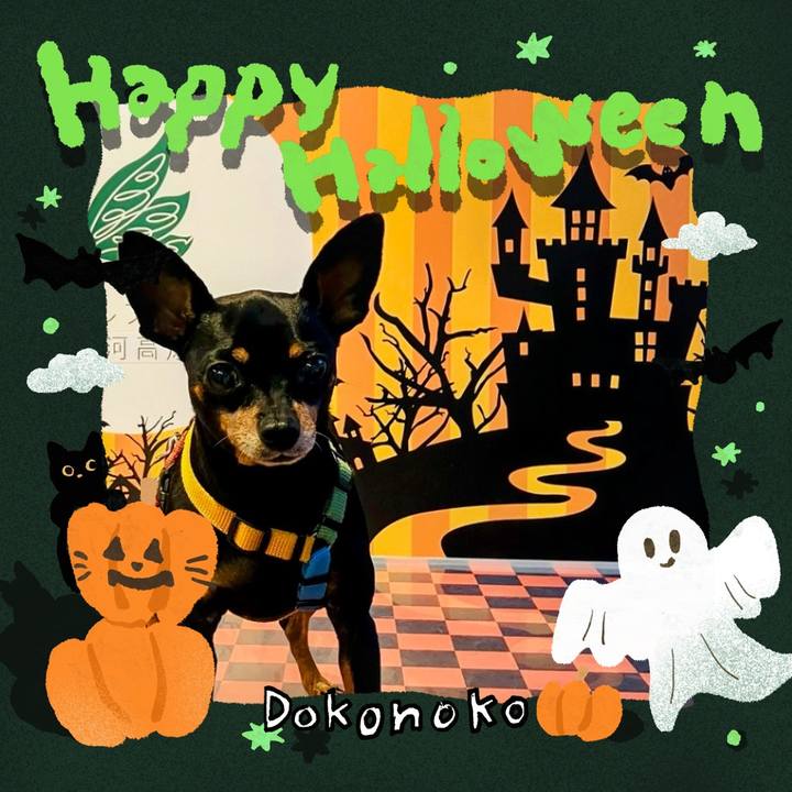 A37e0f5d de79 44eb 8208 302686b5717e 1730375361237