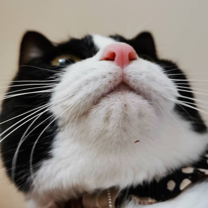 A37e18dd 4ab9 45d0 ae64 d5f02c562da8 1673410873990