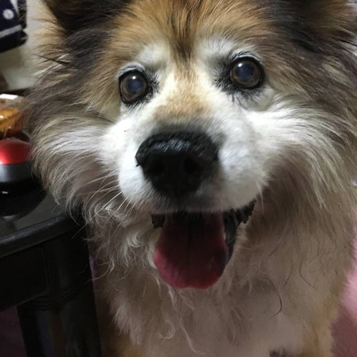 A37e8e0c 3aad 4d92 9d7a 9e2a8a73a8cd 1570976601581