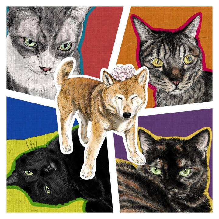 A37e9294 5b22 4036 b5c6 9034dd8f3f3b 1660144095290