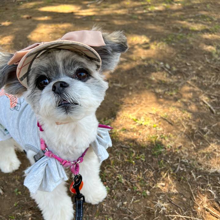 A37eb1c2 a4f2 4e9b 9ec7 a47f874920ea 1647251334351