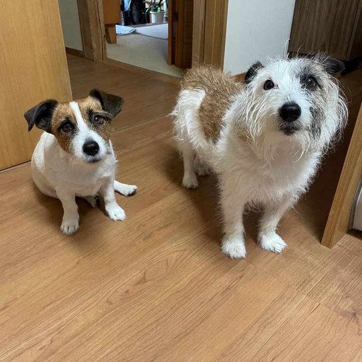 A37ec009 bea5 4ddc b798 903e4036bd67 1719098346200