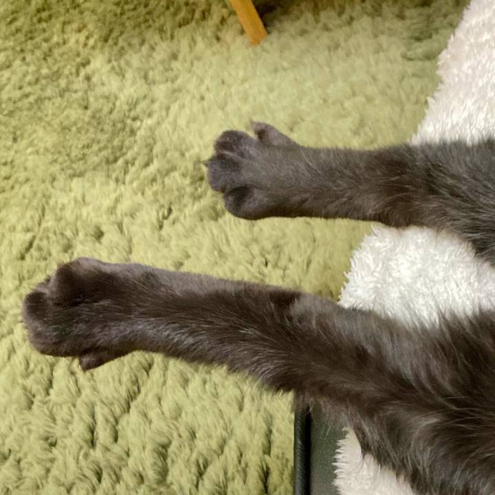 A37eff27 6a6e 4883 bdfb e335161bbac9 1711350371799