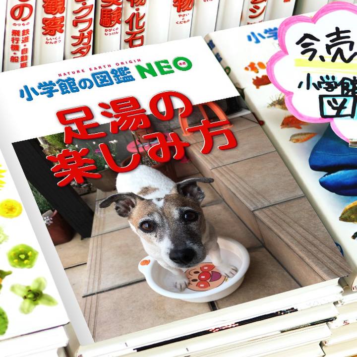 A37f2b49 7de6 447f 84b7 ef627d3b0183 1578325295082