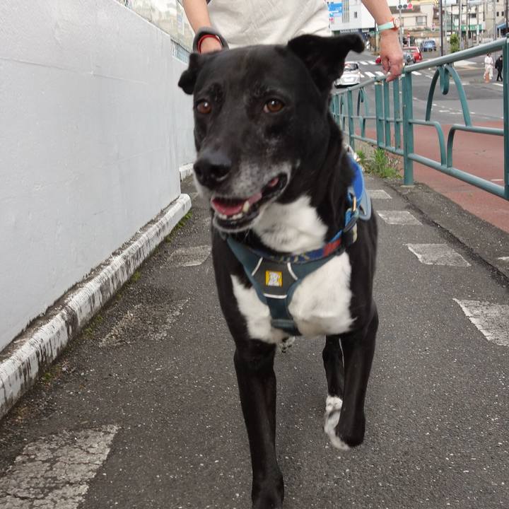 A37f358b 53af 44ef a28d 30cfc8f1e83b 1716942195321