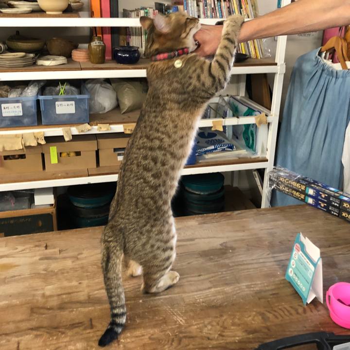 A37f4e95 ab1a 4b25 9e9c 50bd1a469941 1629430125868