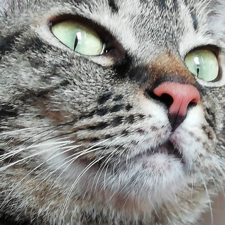 A37f627d df22 4304 acd1 d0aecd7fb810 1533559734559