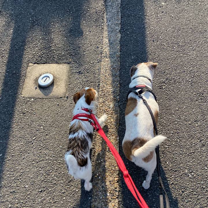 A37fbe11 ddf4 44fb a88e 0baa8dc705d9 1632526872416