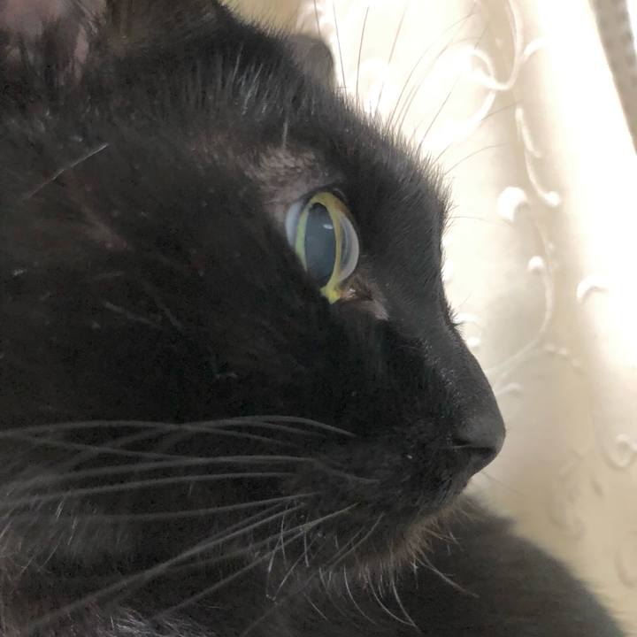 A37ffa5c 6a56 44e6 b084 1f1ac6c9b873 1616826542495