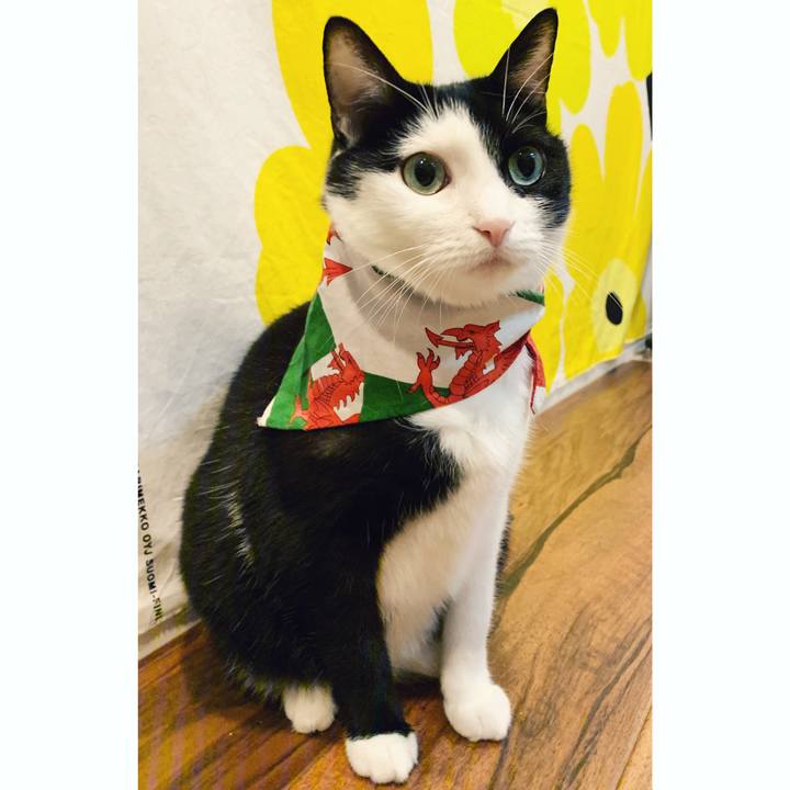 A380100e 744b 4c57 a099 e6cb034d9110 1572175650142