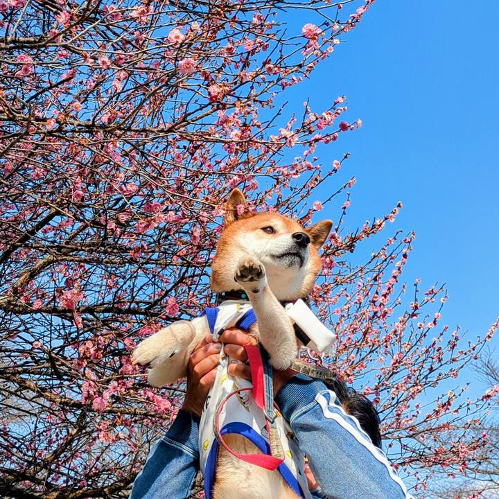 A380256c 380c 4d82 a6a4 bff06fd2de4e 1771765487531