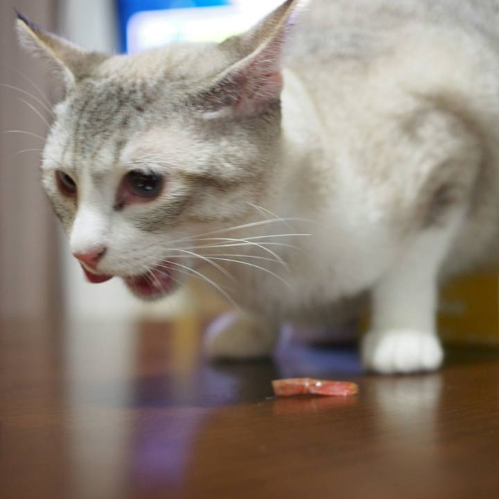 A38049df ef49 4dec b557 7584a23f66f4 1532950361045