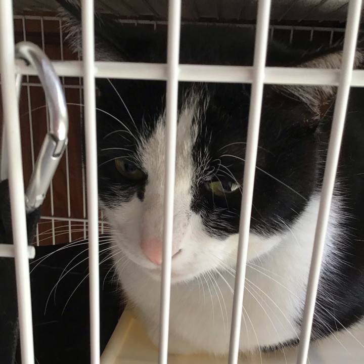 A380a43c 2005 4b3a 8d6c 859980fc974a 1746951084928