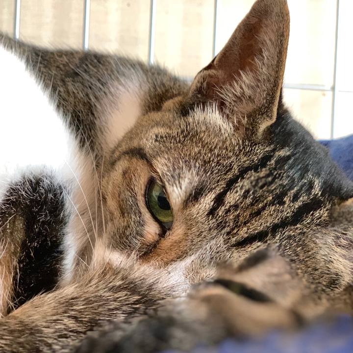 A380cc12 05e9 4833 bdc2 e16ee50749ec 1592872851757