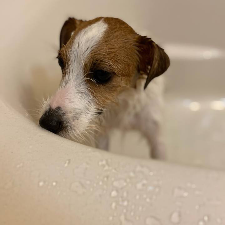 A380ea8a e847 416c 8ee3 47bf717be213 1653823791632