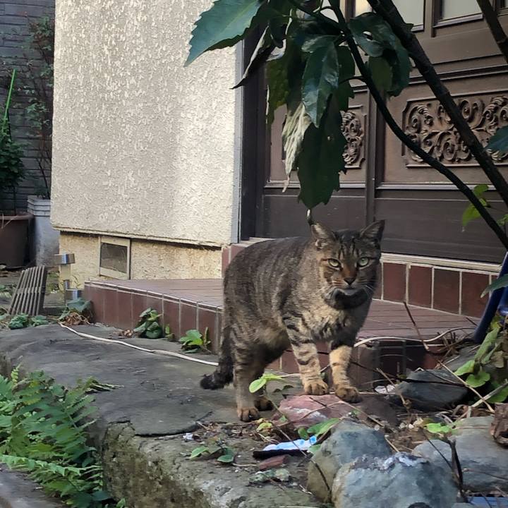 A380f9c9 132a 4fa5 a6c7 4a8e7e2d80e5 1604629868637