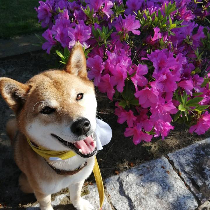 A3811024 25a6 4361 81a3 3ae699c34d97 1589182202617