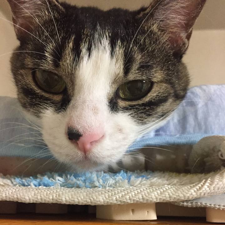 A3811196 8e53 4dfa 842d f59c7e44c59b 1534337740312