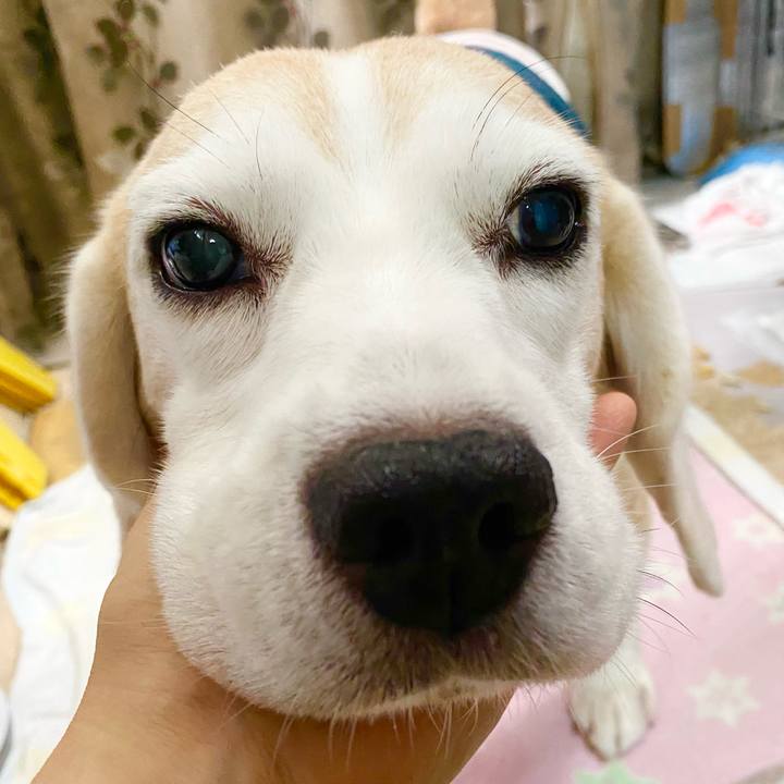 A381570c 91fc 4523 afa5 cf0edf0c2705 1631936556613