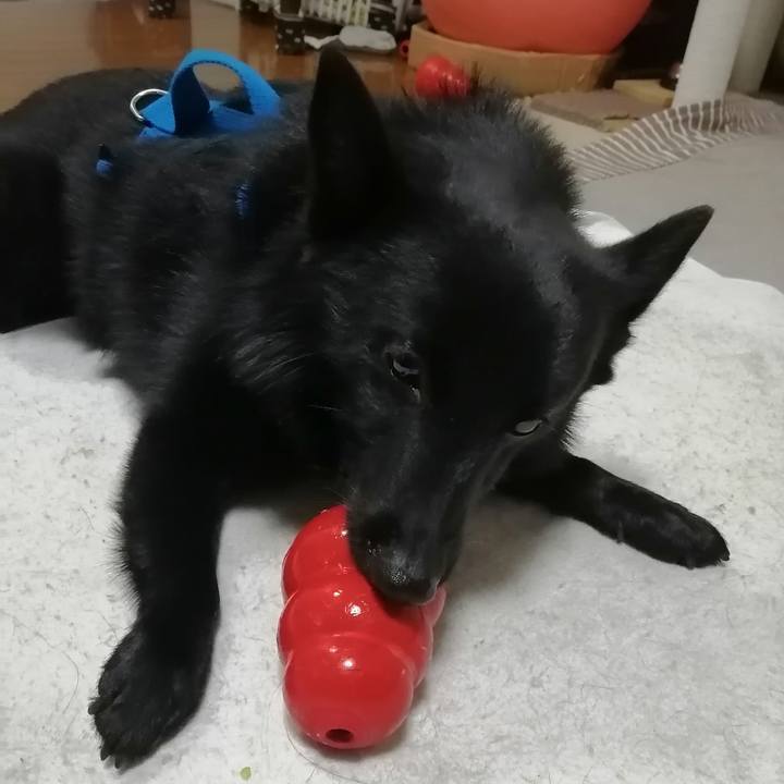 A3818027 eb4a 4589 b634 a30208d92851 1636880519479