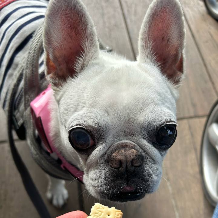 A3818651 6840 4aa3 b3a7 0daa4bac6826 1748781605282