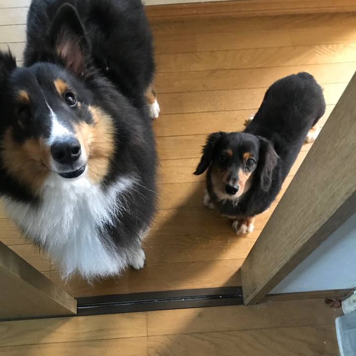 A381a7a9 d9ff 4648 9d4b b0d39d0590e5 1535748226122