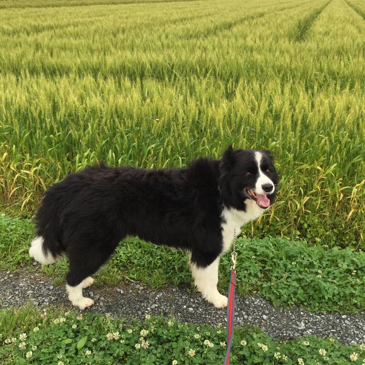 A381ac5d d4e5 4953 82a1 4a9fe1e41d32 1525736993250