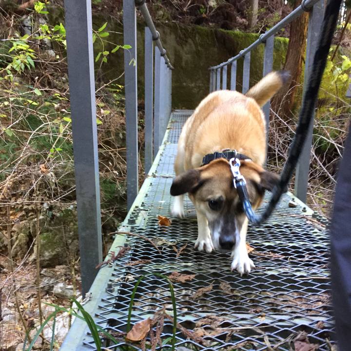 A381bcd3 5ff2 49c7 869c b2fd8b22cb7c 1512281628218